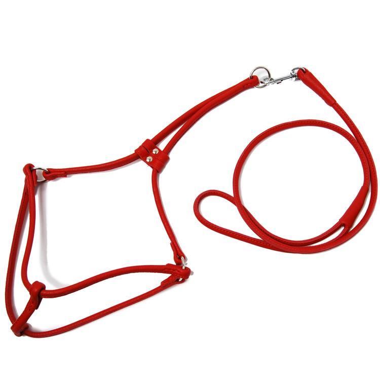 Rolled Leather Step In Harness - Red