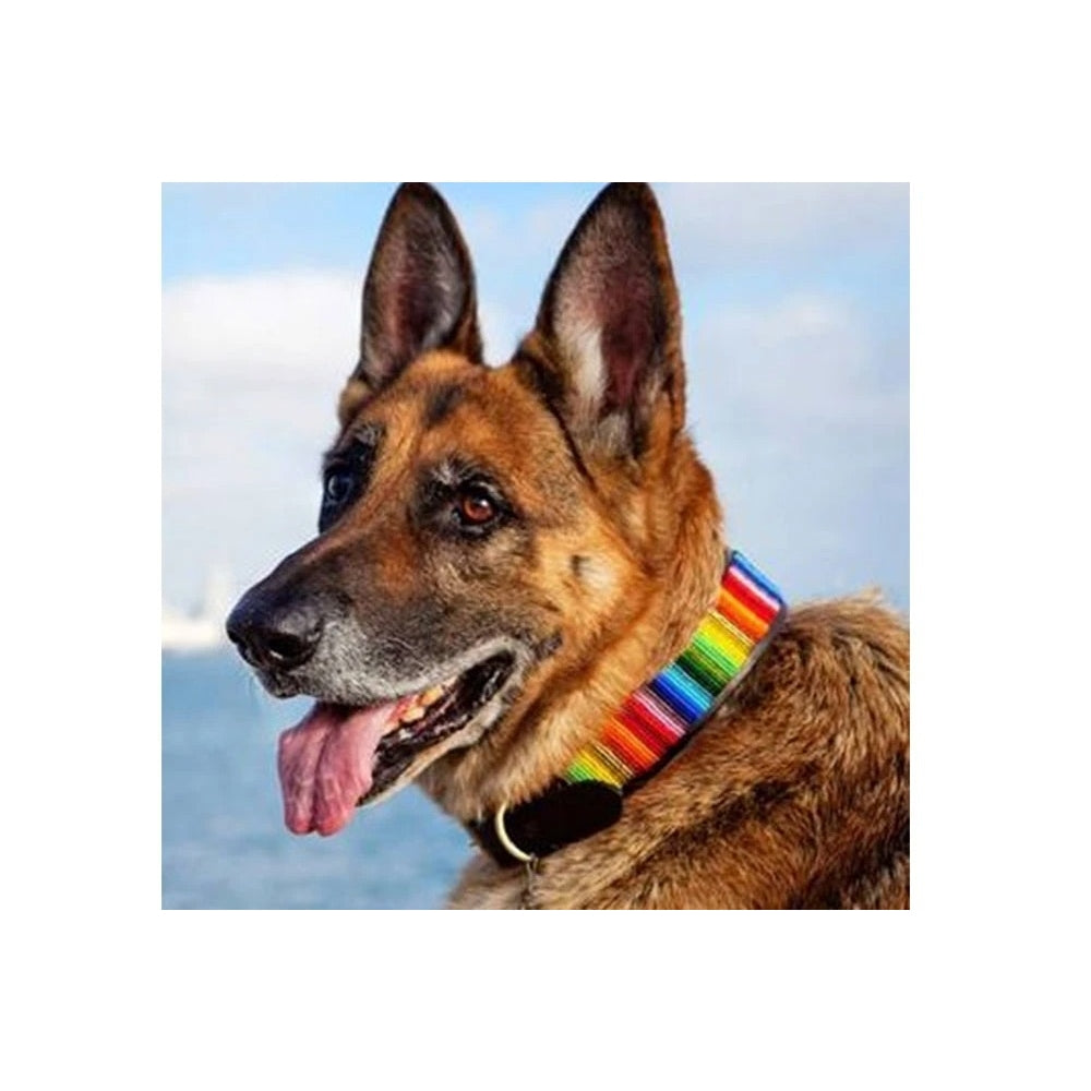 Rainbow Beaded Dog Collar