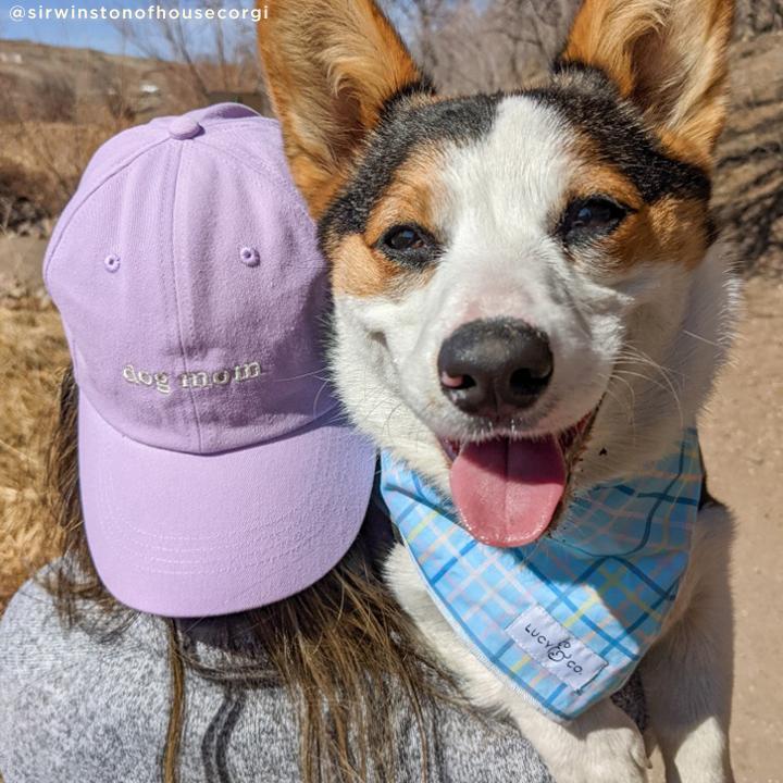 Dog Mom Hat, Lilac