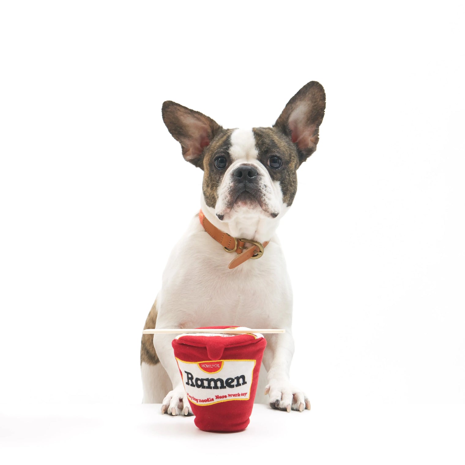 Ramen Noodle Toy