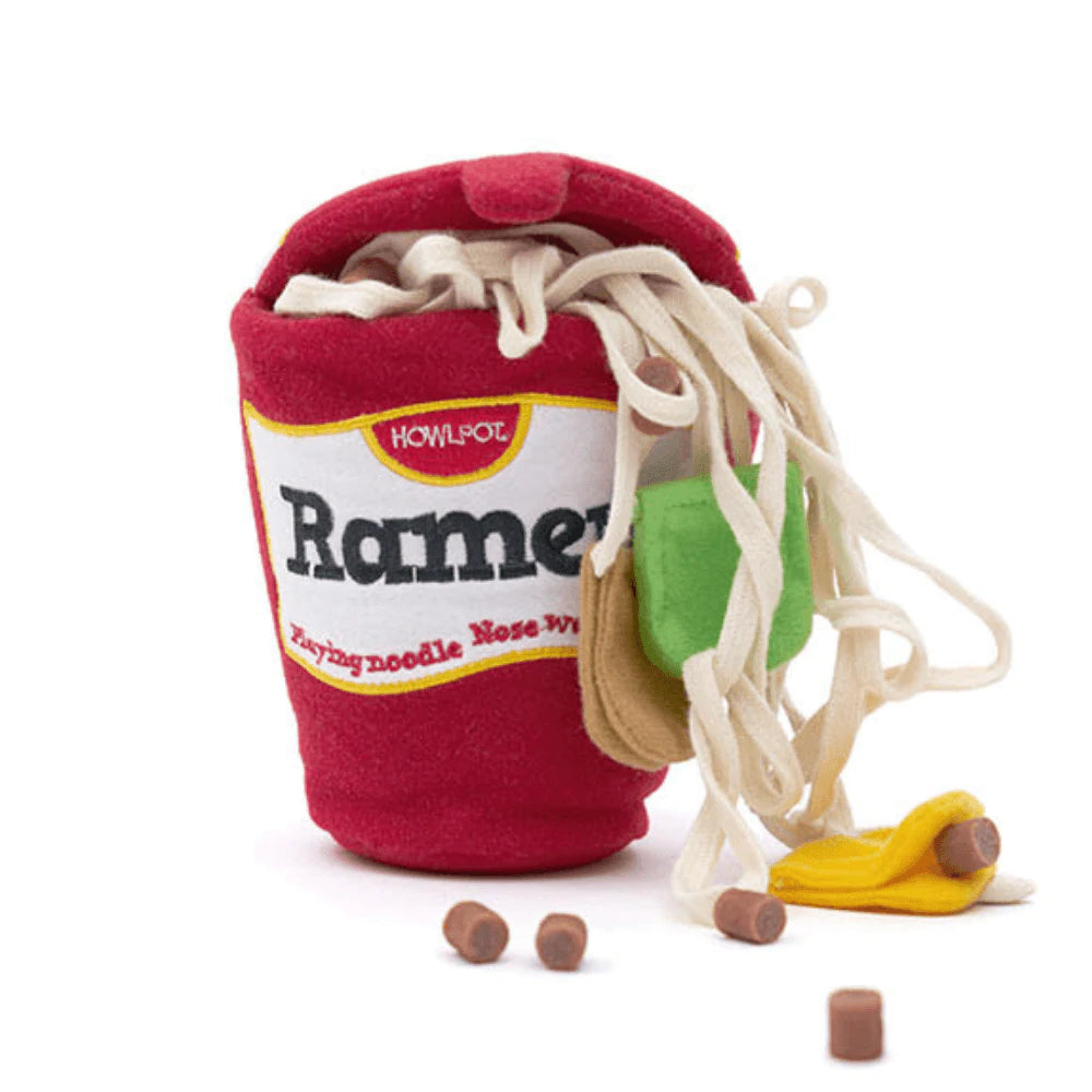 Ramen Noodle Toy