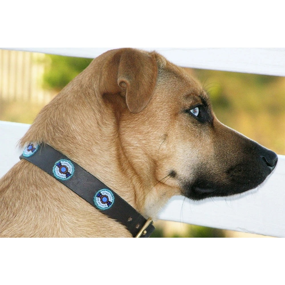 Blue Brown Circles Beaded Dog Collar