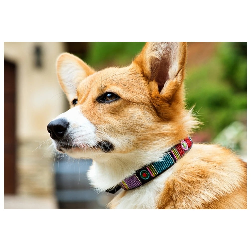 Bijou Beaded Dog Collar