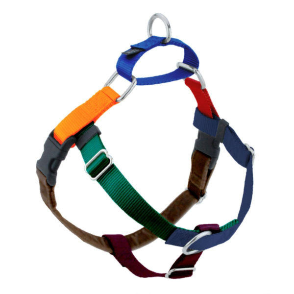 Jelly Bean Spice Freedom Harness & Leash