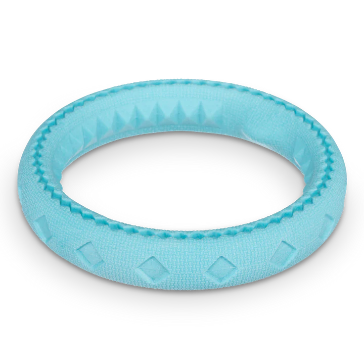 Chew and Tug Ring 6.5"