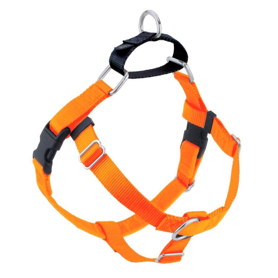 Neon Orange Freedom Harness & Leash