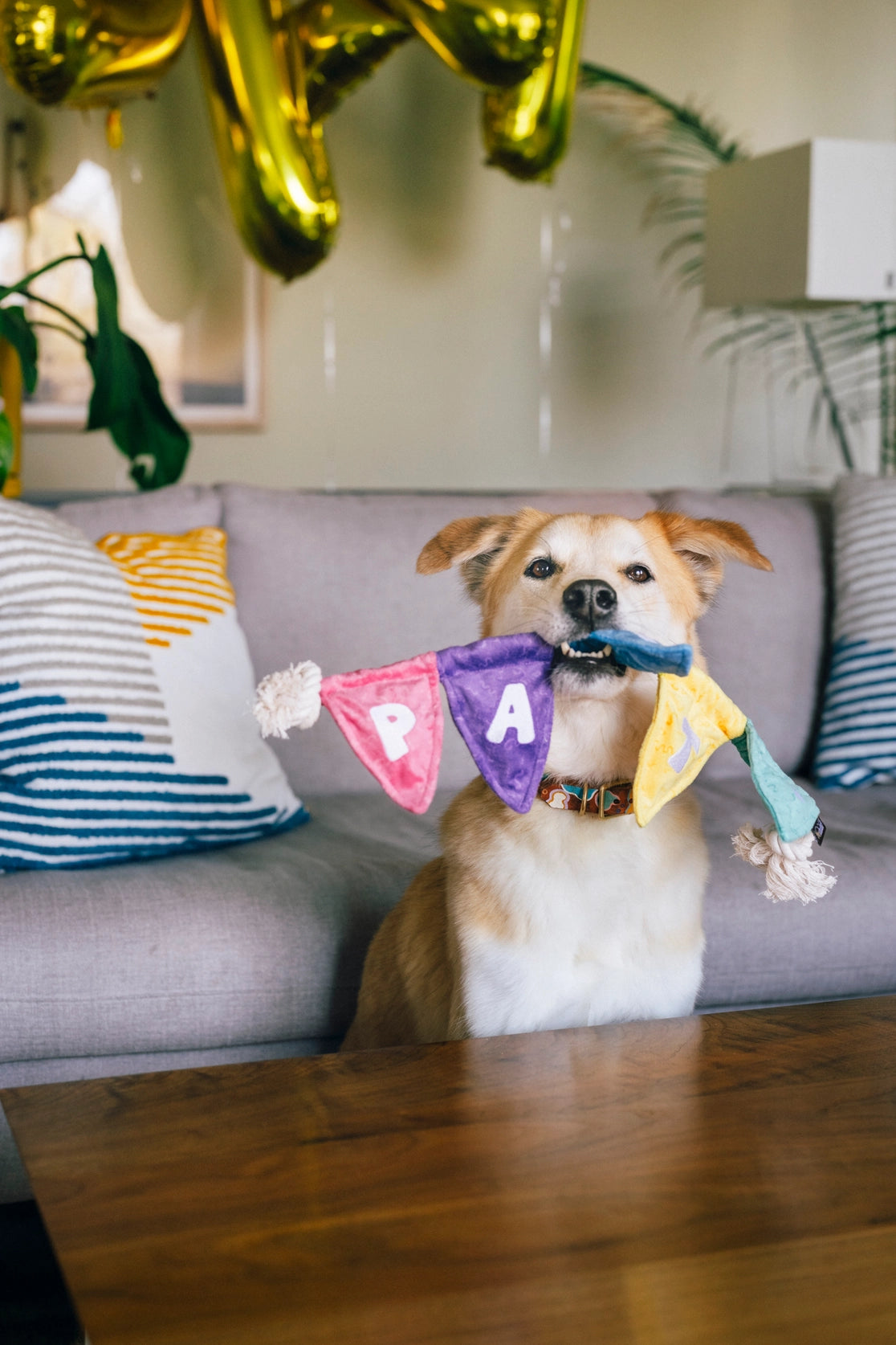 Birthday Party Animal - Tug N Party Banner