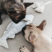 Trout Enrichment Dog Snuffle Toy