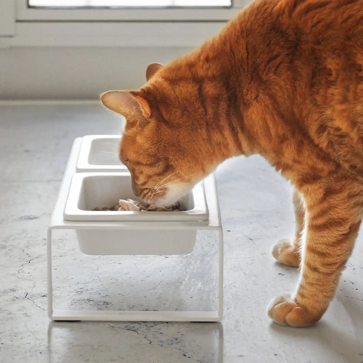 White Tower Pet Food Bowl, Tall