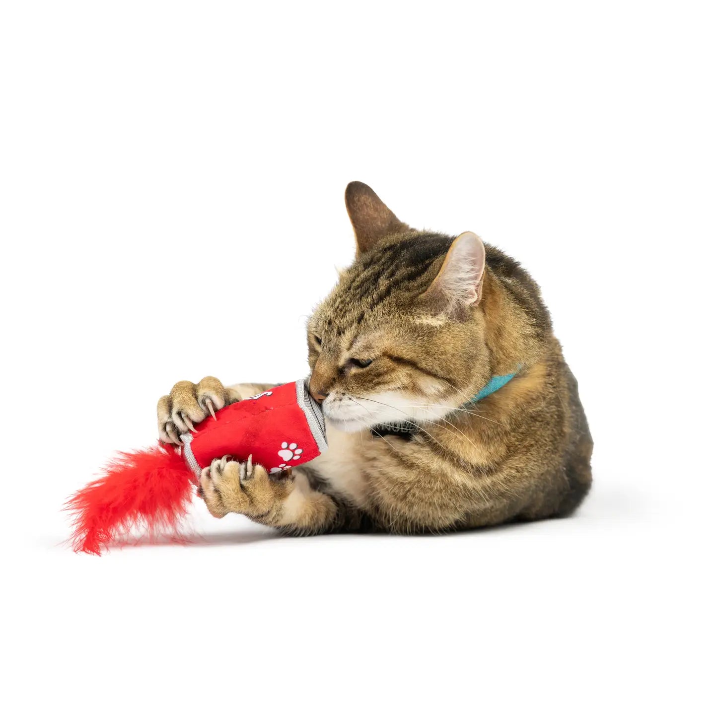 Lil' Pooper Cat Toy