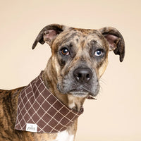 Brown Checker Bandana, 3 Sizes