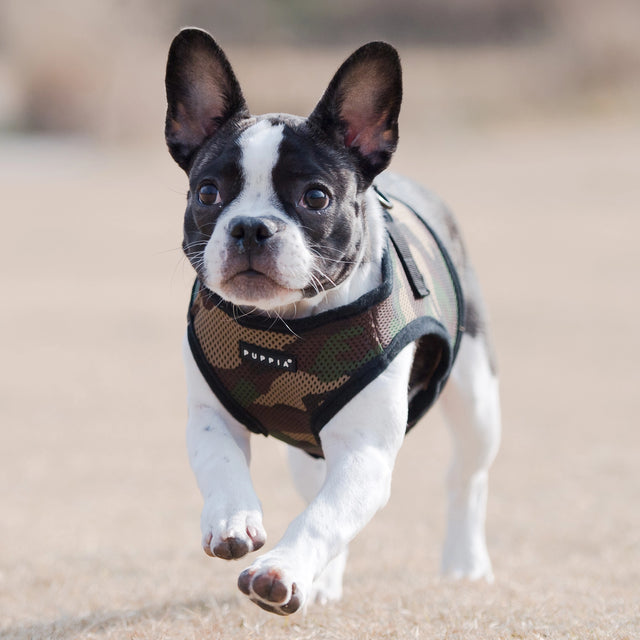 Puppia Camo Soft Vest Dog Harness Step-in
