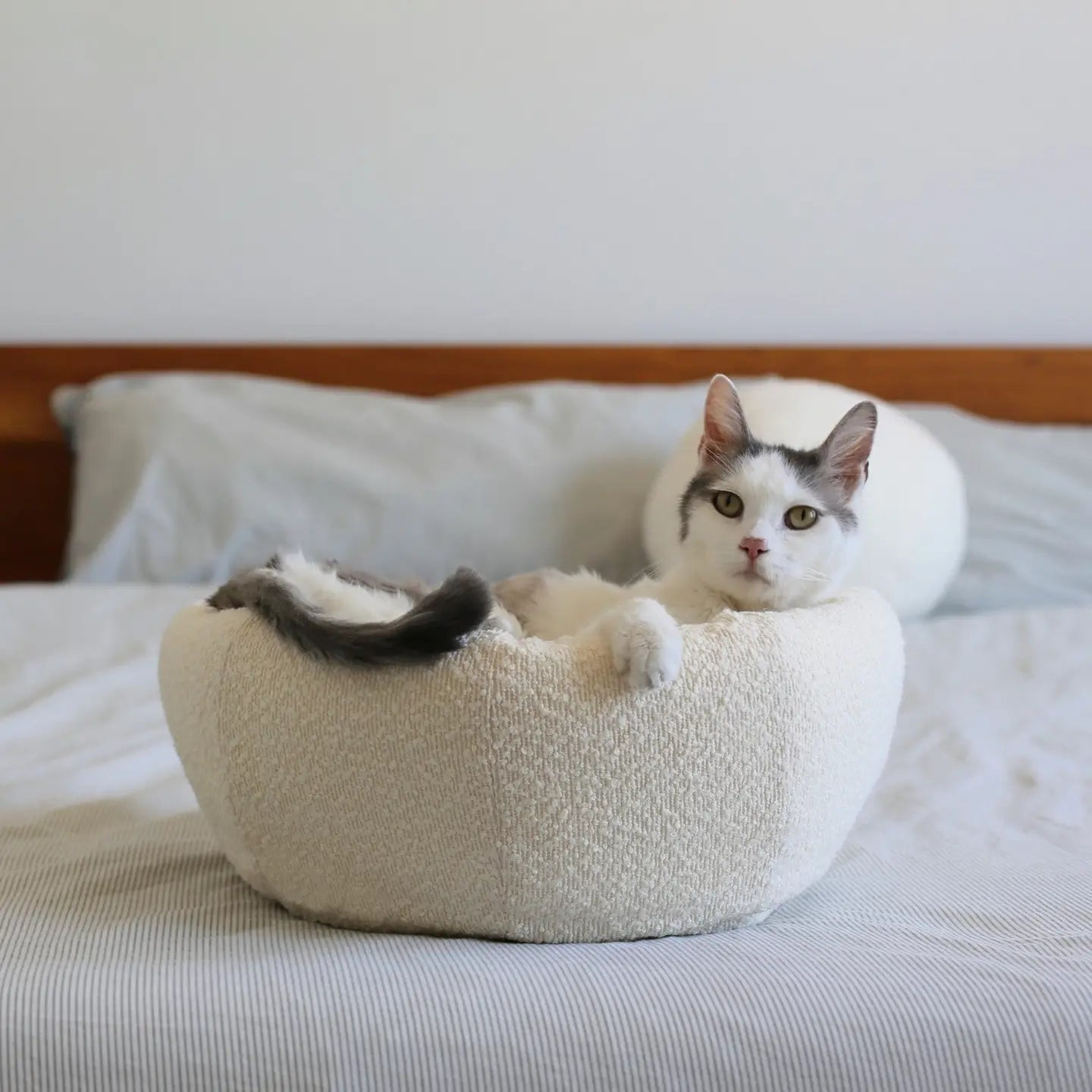 Moon Sherpa Cat Cave