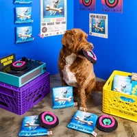 Vinyl Record Nosework Toy