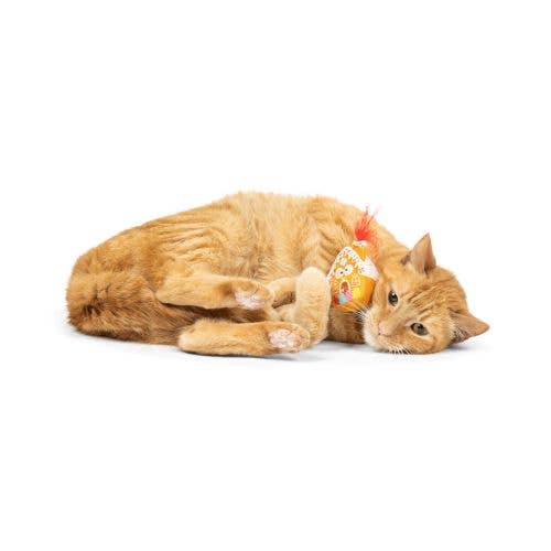 G-House Cat Toy