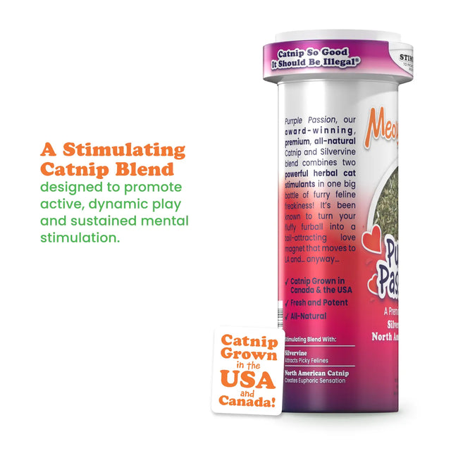 Purple Passion Catnip
