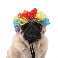 Rainbow Clown Wig