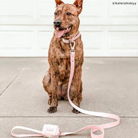 Rose Everyday PVC Leash