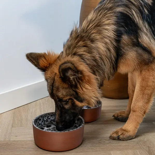 Ceramic Dog Bowl Jag Brown