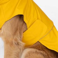 Silver Paw Sun Yellow Raincoat