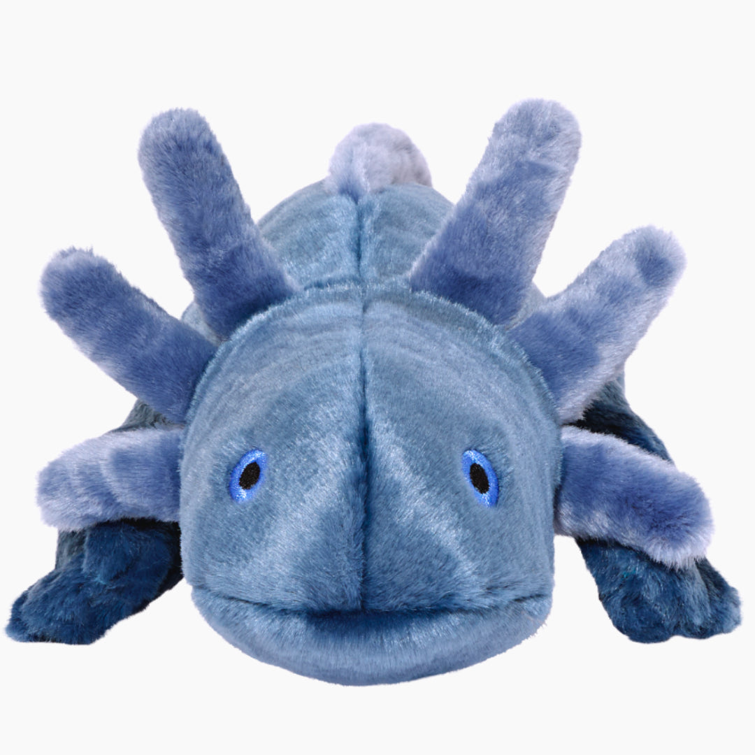 Millie Axolotl