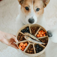 3 in 1 Bento Bowl