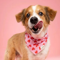 Red Hearts Bandana, 3 Sizes
