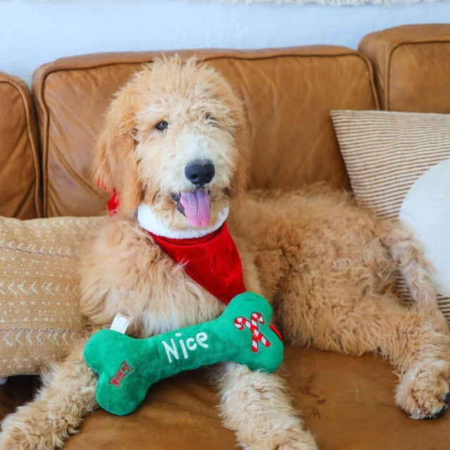 Naughty / Nice Plush Bone