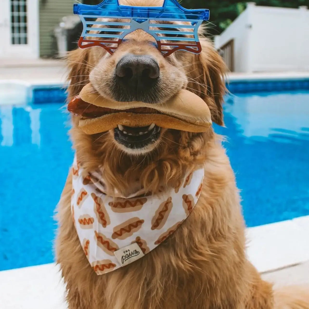Hot Dog Sizzle Bandana, 3 Sizes