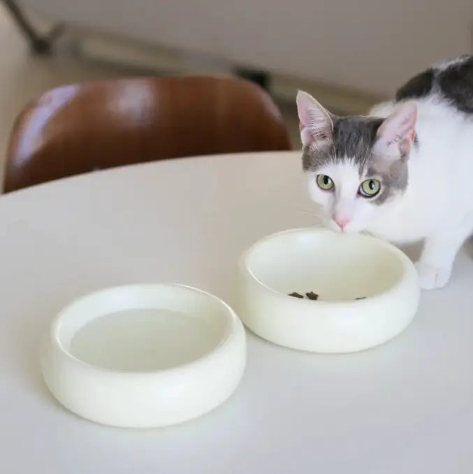 Ivory Halo Pet Bowl
