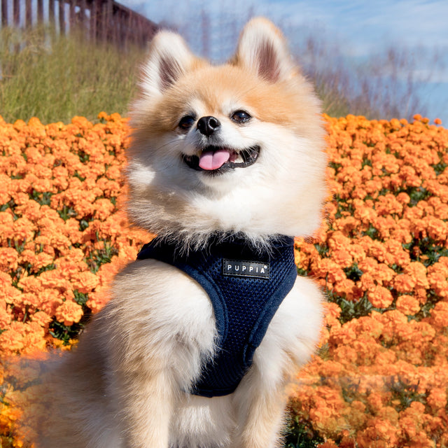 Puppia Navy Soft Vest Dog Harness Step-in