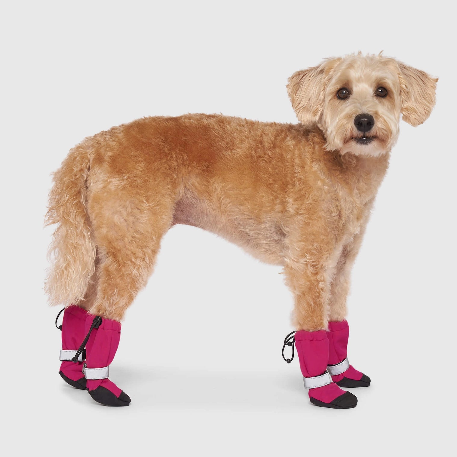Soft Shield Boots, Pink