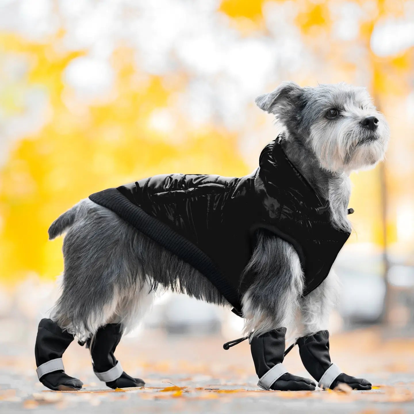 Soft Shield Boots, Black