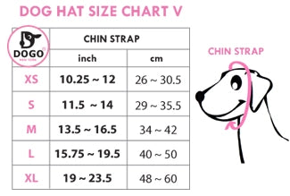 Rainbow Strap Hat