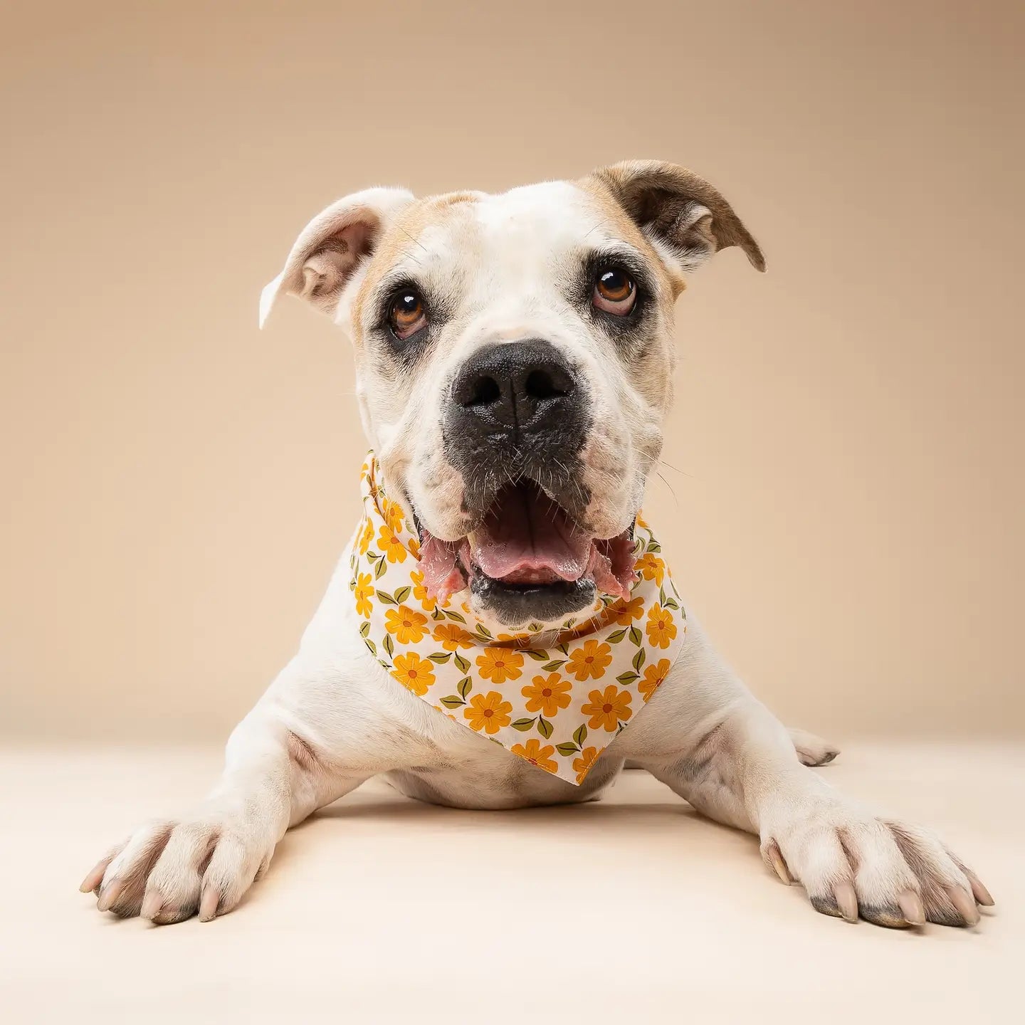 Marigold Flower Bandana, 3 Sizes