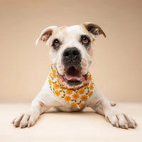 Marigold Flower Bandana, 3 Sizes