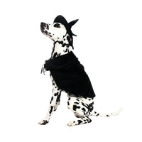 Halloween Witch Cape and Hat Dog Costume
