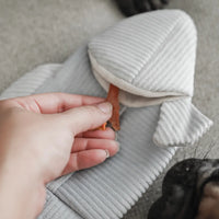 Trout Enrichment Dog Snuffle Toy