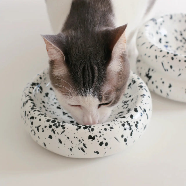 Ink Halo Pet Bowl