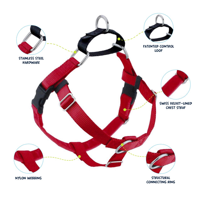 Red Freedom Harness & Leash