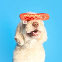 Hot Dog Nosework Toy