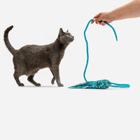 Ink Floyd Cat Toy with 4-Foot Tether