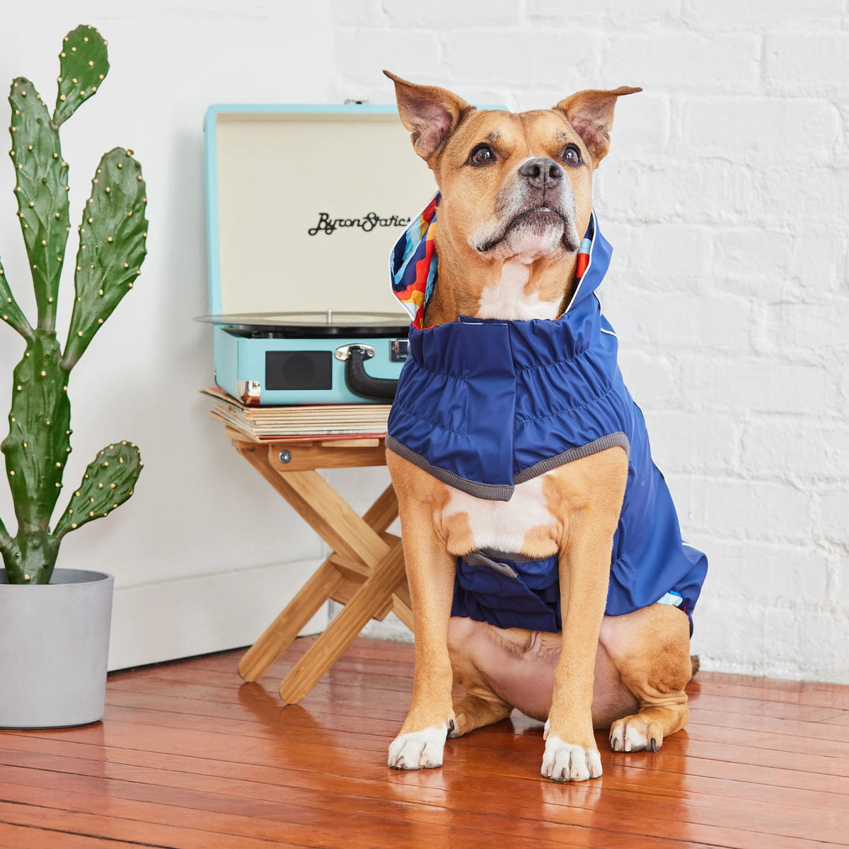 Reversible Elasto-Fit Raincoat - Blue