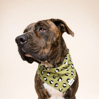 Olive Leopard Bandana, 3 Sizes