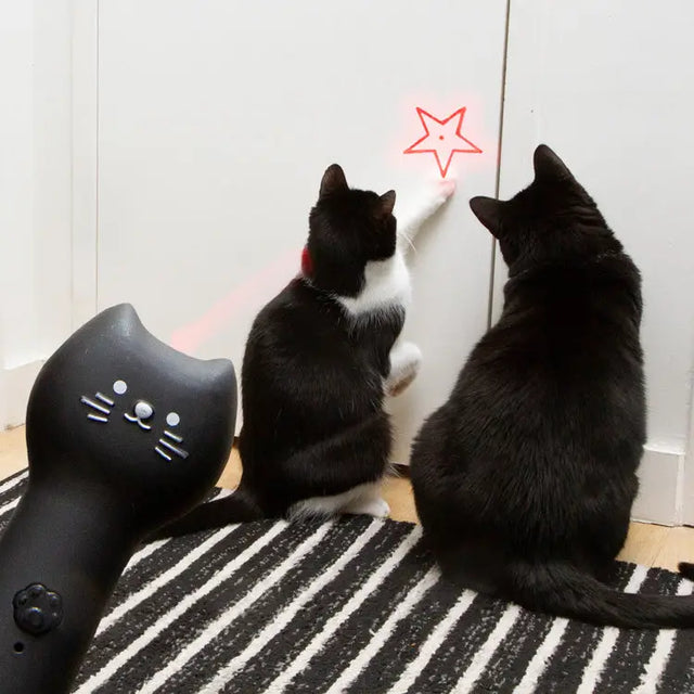 Rechargeable Pounce & Play Laser