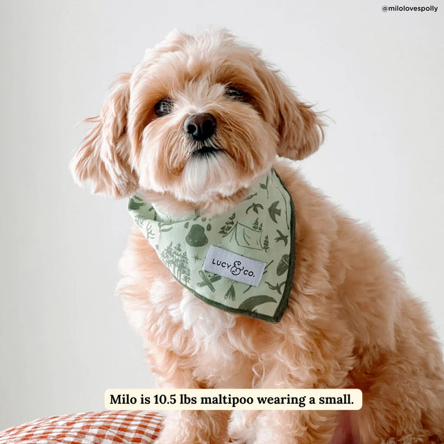 Lucy Camp Out Bandana