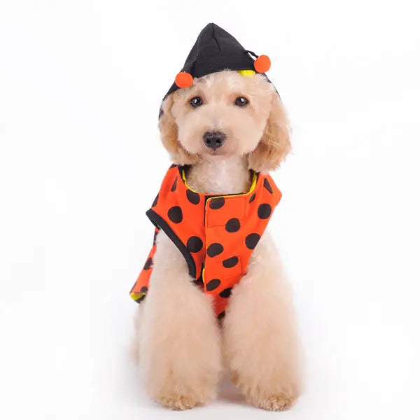 Ladybug Bumblebee Reversible Costume