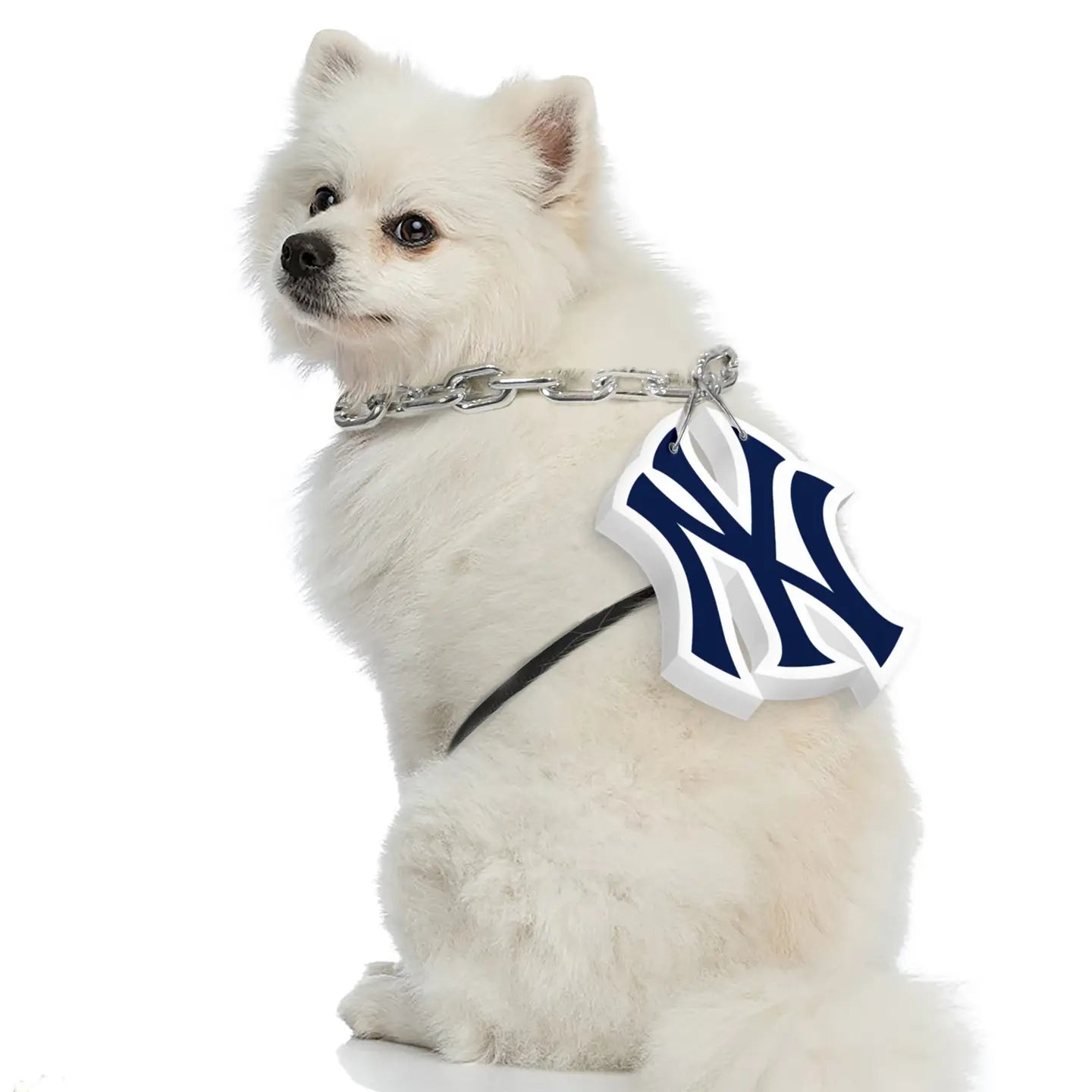 New York Yankees Pet Fan Chain