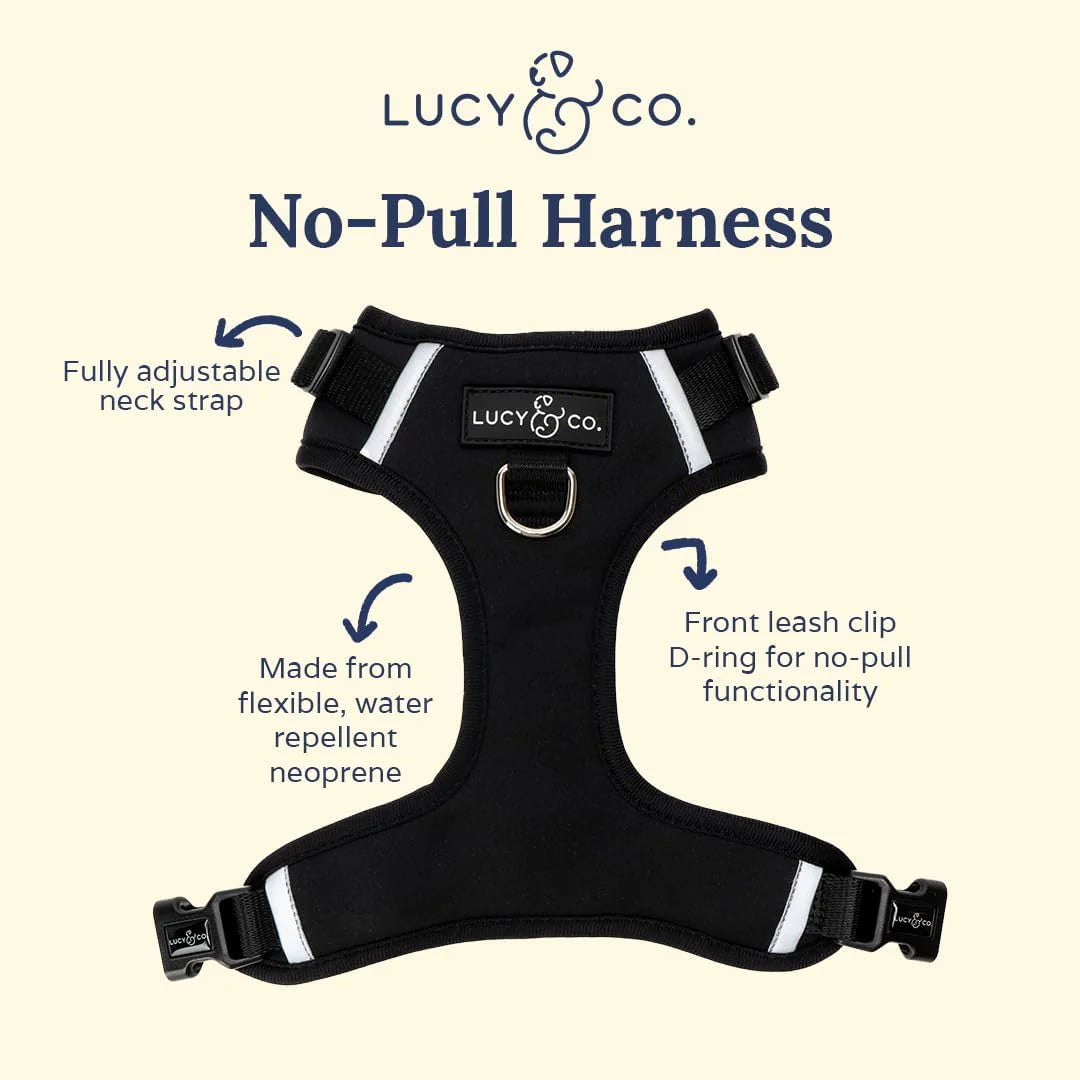 Midnight No-Pull Harness