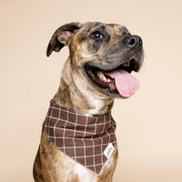 Brown Checker Bandana, 3 Sizes
